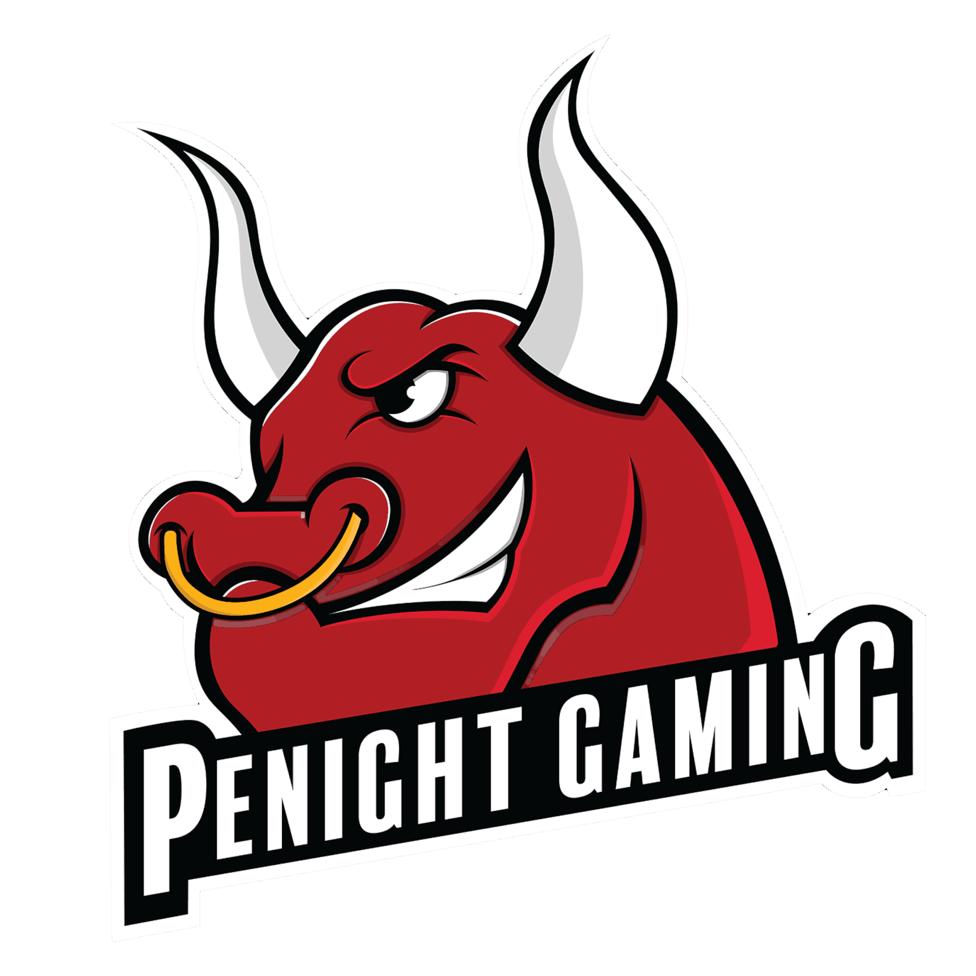 Logo Penight Gaming z 2017 roku